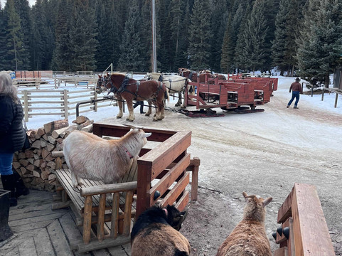 龙恩山牧场酒店主图