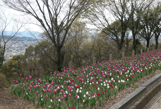 四国村-高松市必去景点