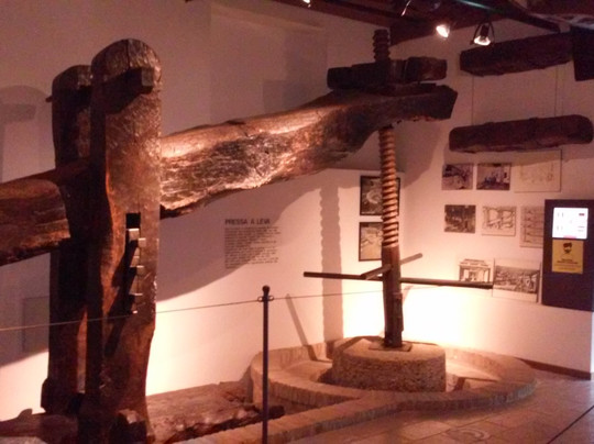 Museo Dell'olio D'oliva-Cisano必去景点