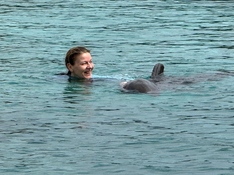 Dolphin Academy Curacao-威廉斯塔德必去景点