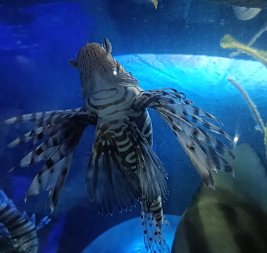 Lake District Coast Aquarium-Maryport必去景点