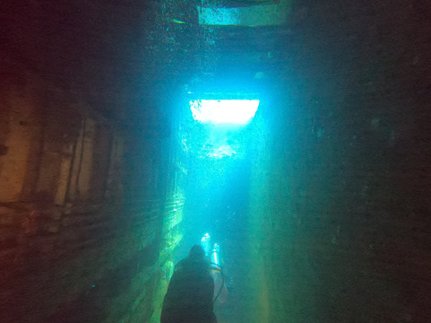 Ducks Diving Safaga-Safaga必去景点