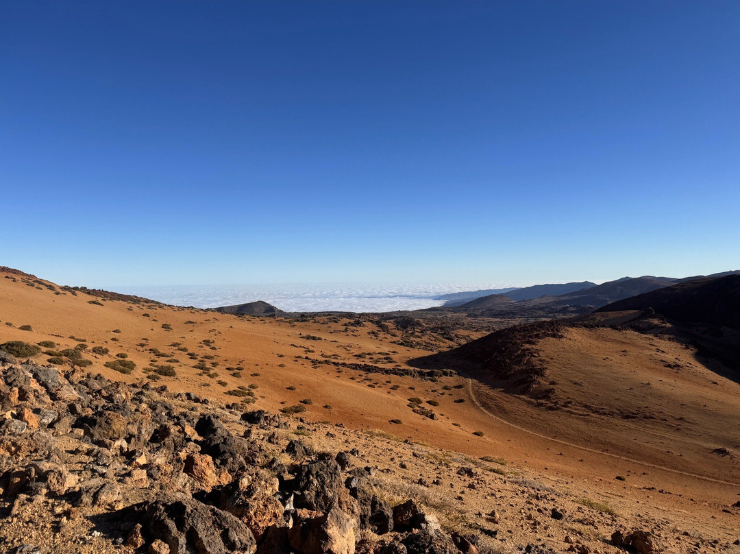 Teneriffa Kreaktiv - Day Tours-圣克鲁斯-德特内里费必去景点