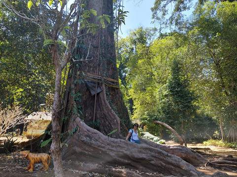 Bolaven Plateau-Champasak Province必去景点