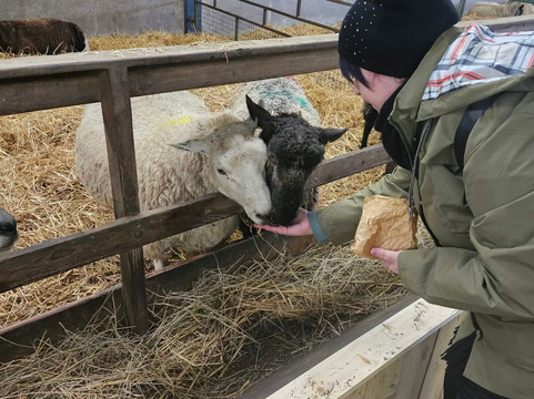 Whitehouse Farm Centre-莫佩思必去景点