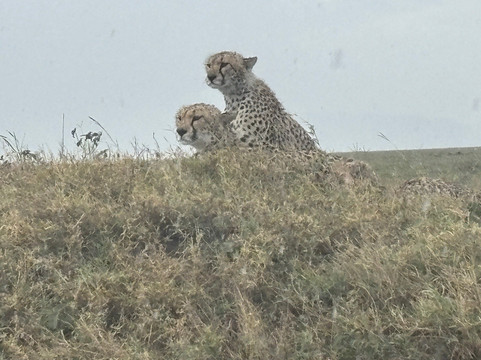 Kilimanjaro Heroes Adventures-莫西必去景点