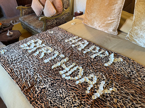 里亚德克瑞迪尼酒店主图