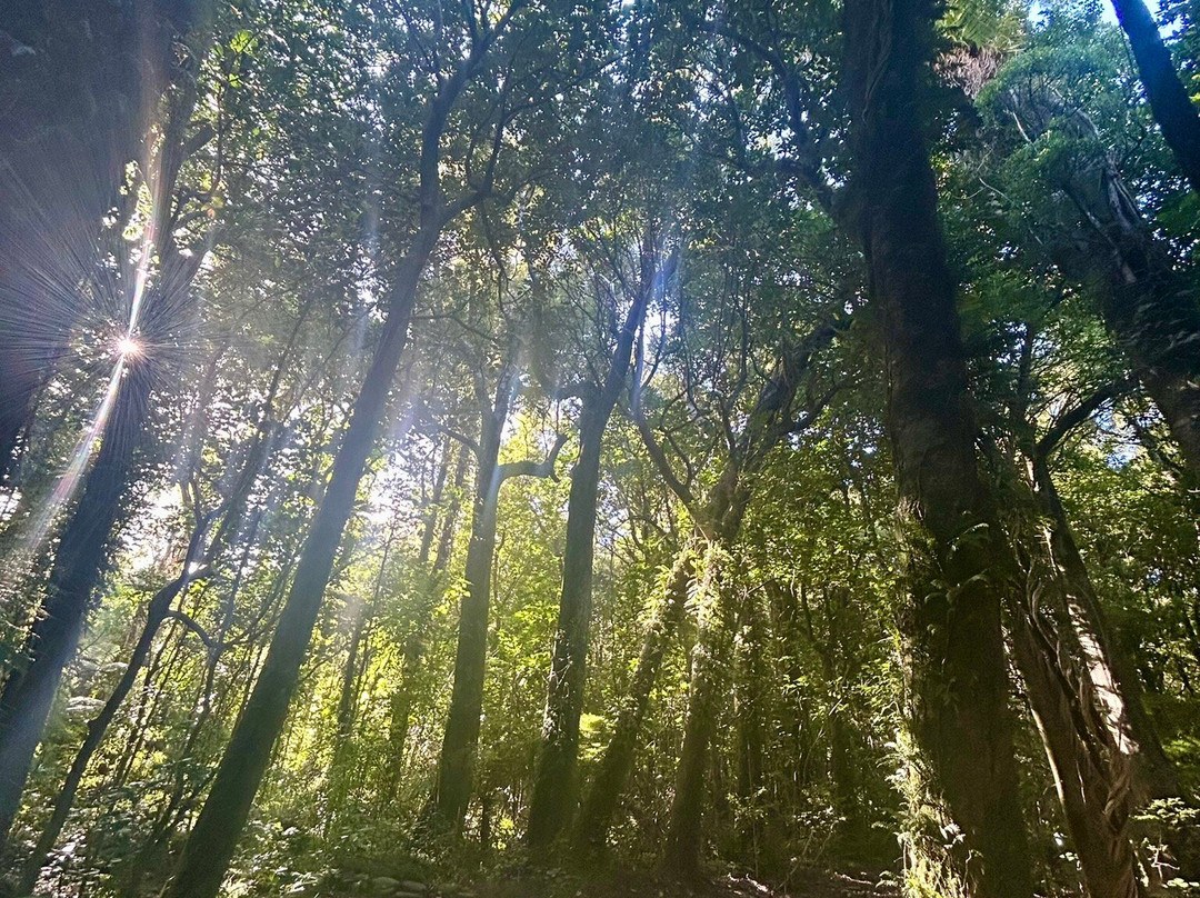 Marlborough Sounds Adventure Company - Day Tours-皮克顿必去景点