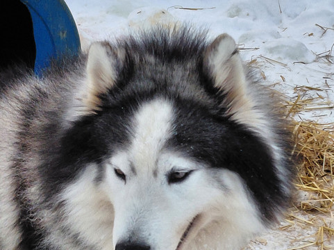 Aventures Daaquam 4 Saisons-Saint-Just-de-Bretenieres必去景点