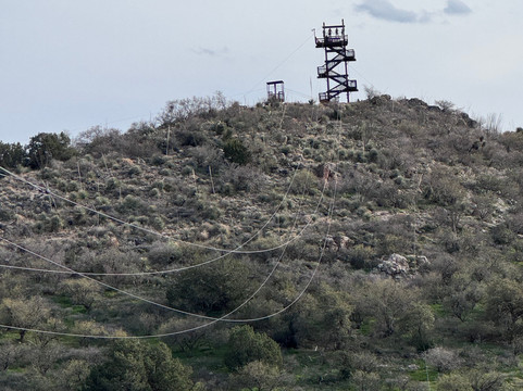 Arizona Zipline Adventures-Oracle必去景点