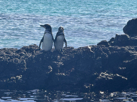 Metropolitan Touring-基多必去景点