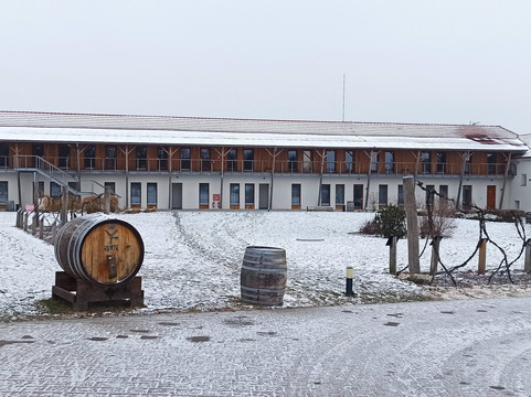 雷兹令克酒店主图