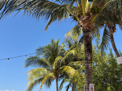 Islands Beach Club-考祖梅必去景点