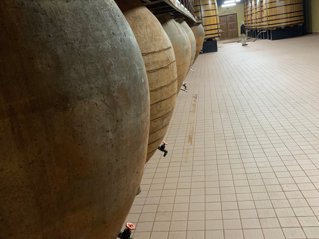 Bodegas Y Vinedos PradoRey-Gumiel Del Mercado必去景点