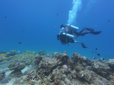 Turquoise Dream-Neil Island必去景点