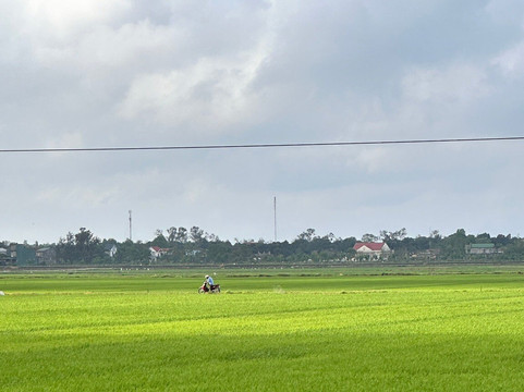 Trail Motorbike Tour-会安必去景点