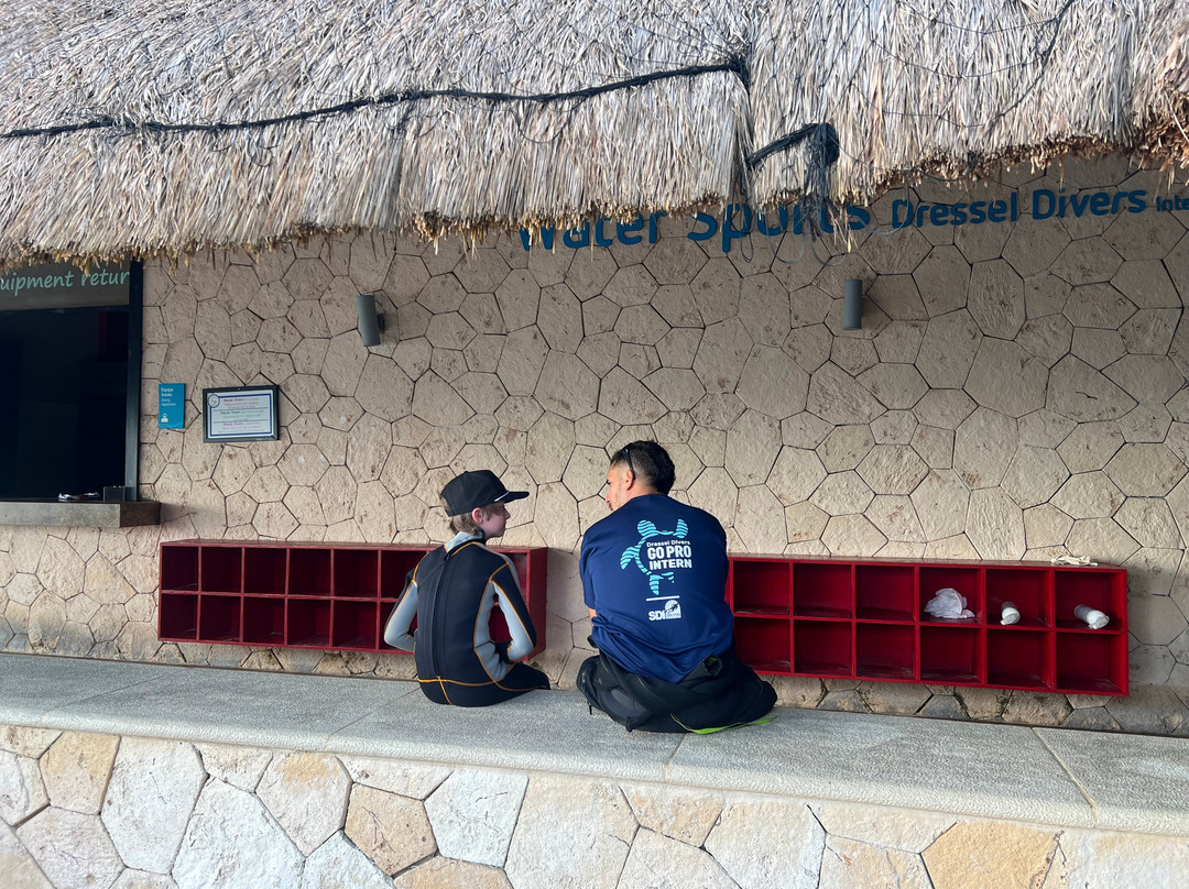 Dressel Divers Puerto Aventuras-阿范特拉斯港必去景点