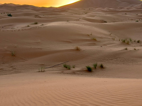 Marrakech Camel Trips-非斯必去景点