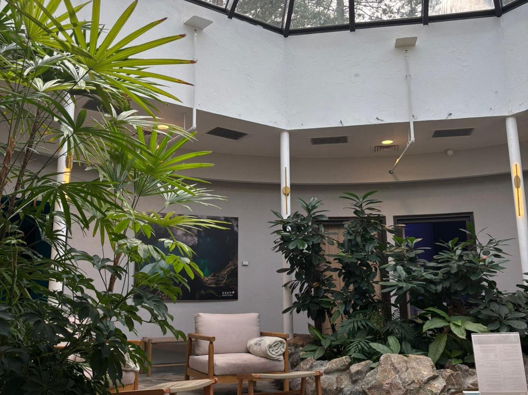 Spa Center Parcs - Les Hauts de Bruyères-Chaumont-sur-Tharonne必去景点