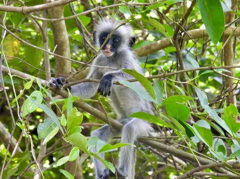 UBUNTU SAFARIS & TOURS COMPANY-阿鲁沙必去景点