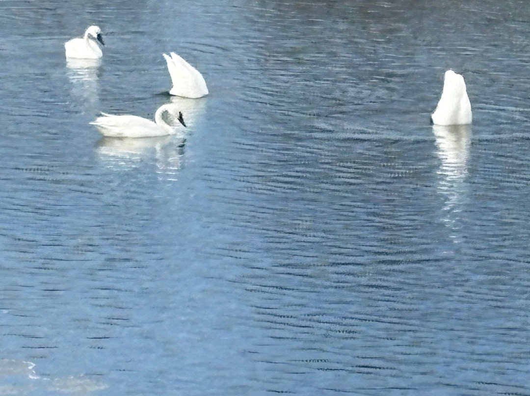 Holiday Inn Express 安纳波利斯东肯特岛主图