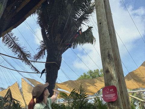 Parque Arvorar-Aquiraz必去景点