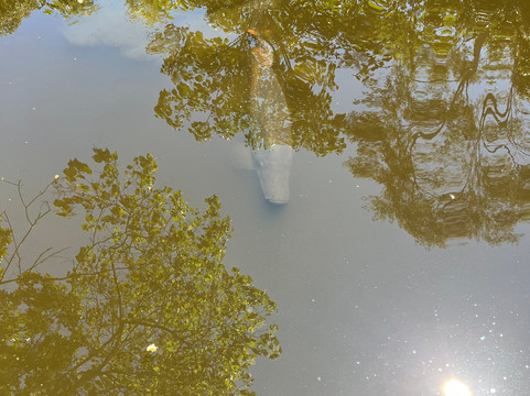 EL Jardín Lodge & Spa主图