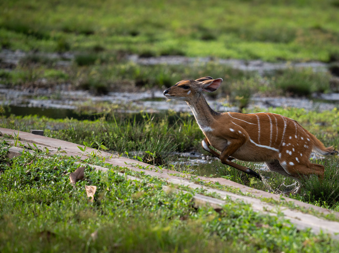 Wild Eye-弗维斯必去景点