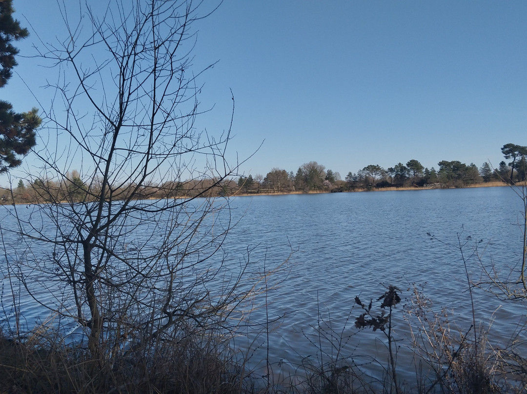 Base de Loisirs de Bellebouche-Mezieres-en-Brenne必去景点