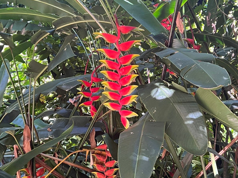 Le Vieux Domaine-Ravine des Cabris必去景点