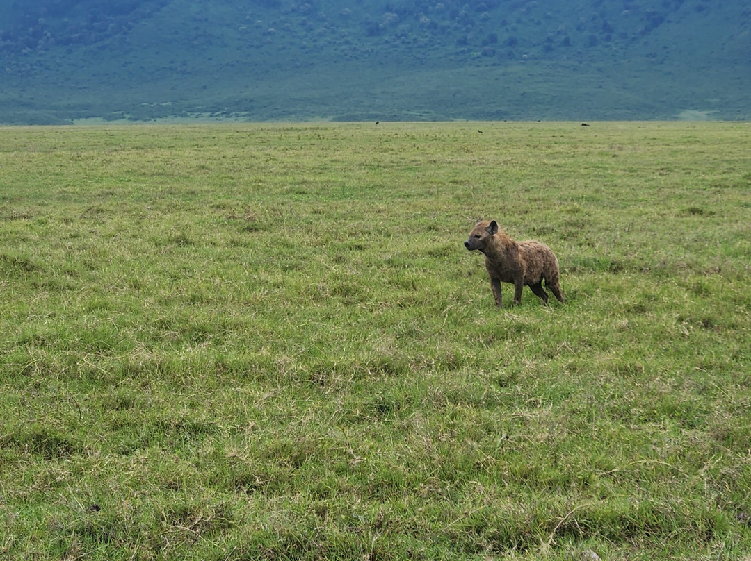 Altezza Travel-莫西必去景点