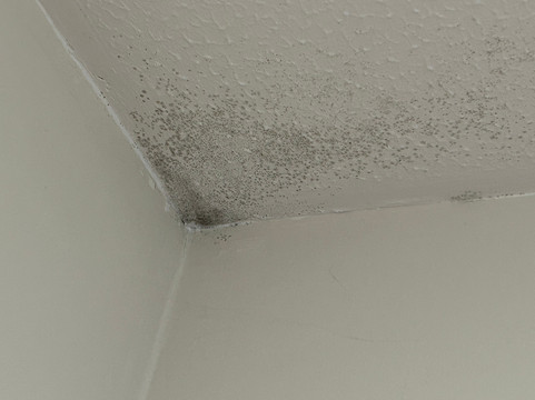 古尔普瑞米尔酒店主图