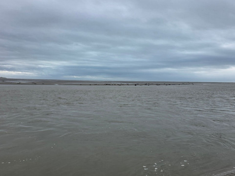 Club Nautique Berckois-Berck必去景点