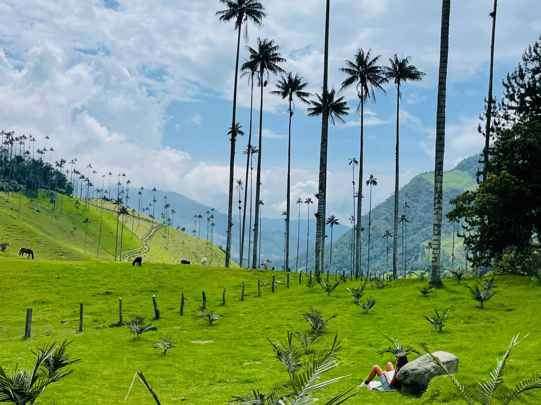 Magic Tours del Café-亚美尼亚必去景点