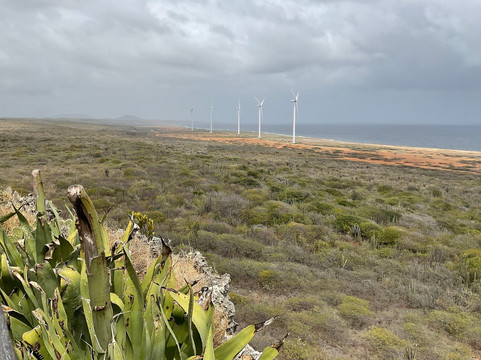 Shete Boka National Park-库拉索必去景点