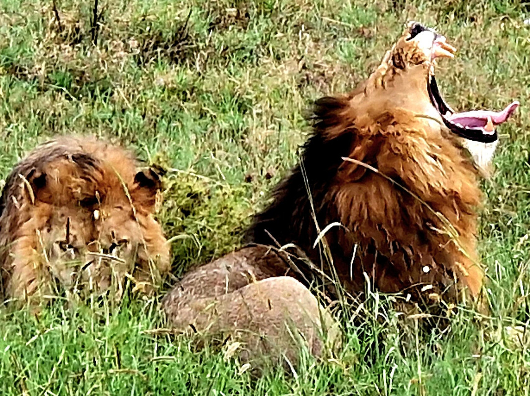 Calabash Adventures-阿鲁沙必去景点