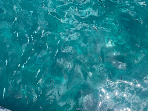 Vava Voom-巴拉克拉瓦必去景点