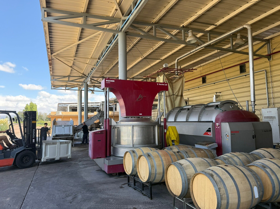 Tapiz Winery-阿格雷洛必去景点