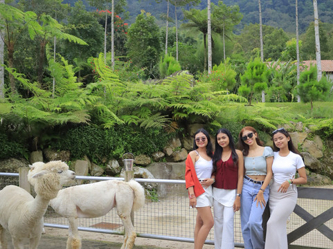 Bali Farm House-Pancasari必去景点