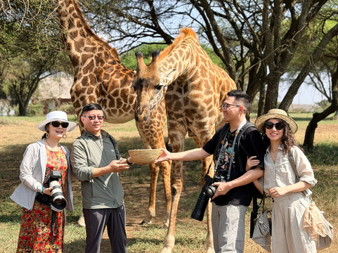 young_lion_safaris-莫西必去景点