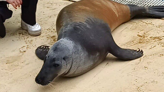 Zoo de Castellar-Castellar de la Frontera必去景点