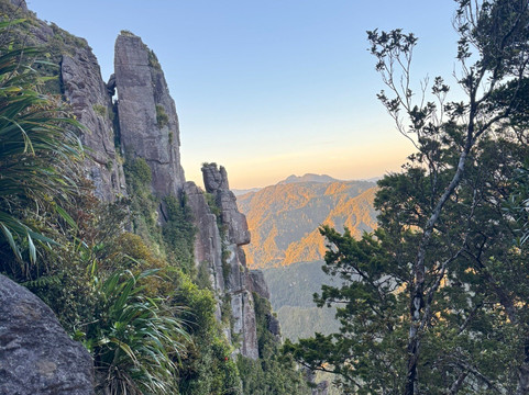 Kauaeranga Kauri Trail (Pinnacles Walk)-Thames必去景点