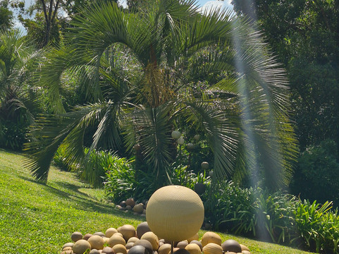 Unger's Pottery House-蒙特贝尔德必去景点