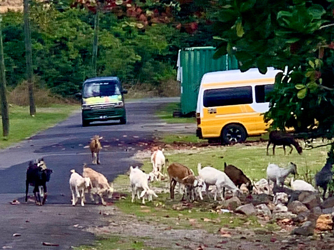 Fort Shirley-多米尼克必去景点