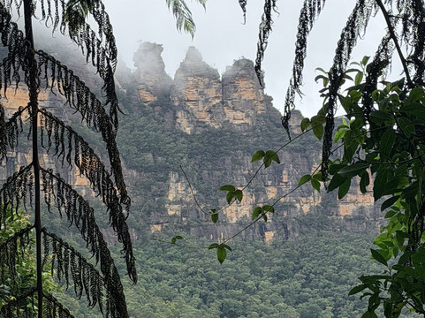 Blue Mountains Tours-格兰布鲁克必去景点