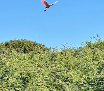 Mexique Découverte-坎昆必去景点