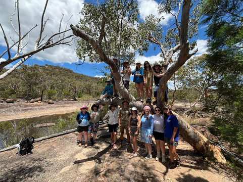 Bower Camp Co.-Wiangaree必去景点