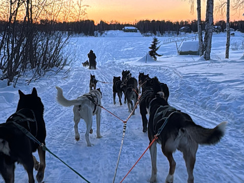 Snowhook Adventure Guides of Alaska-Willow必去景点