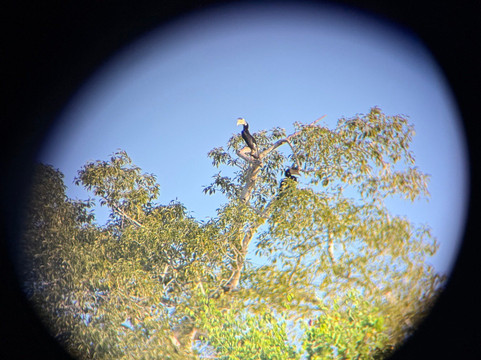 Udawalawe Lahiru Safari Guide Tours-乌达瓦拉维国家公园必去景点