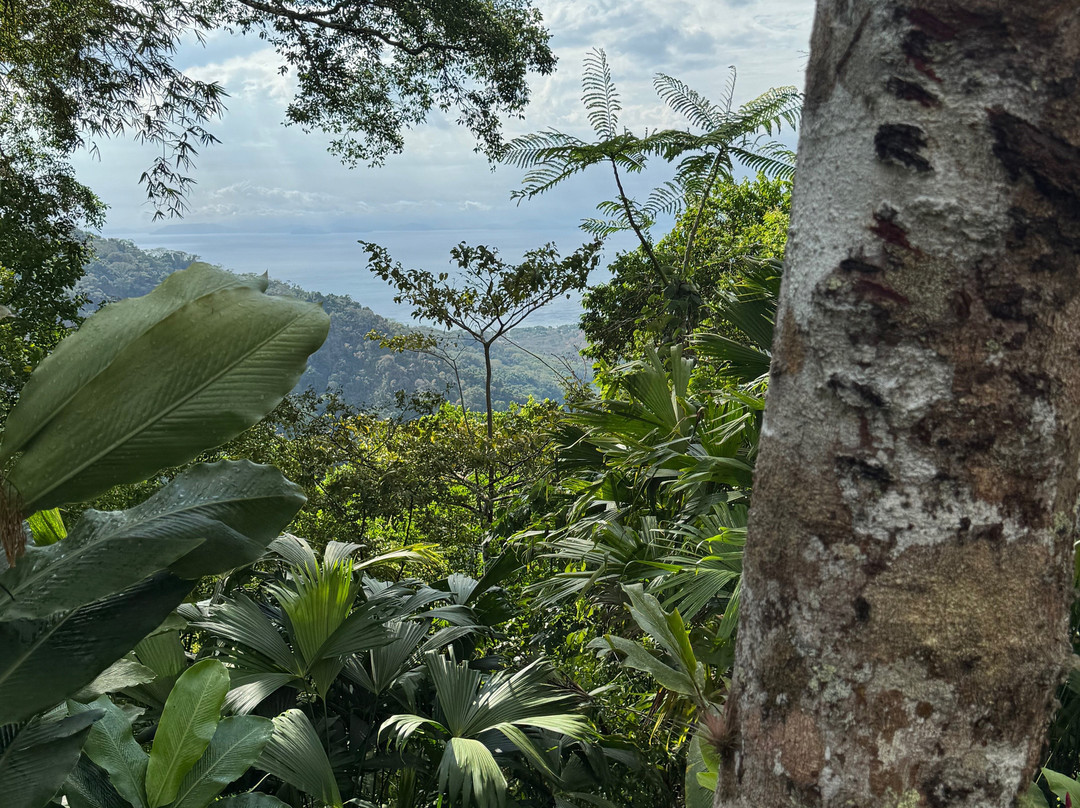 Pura Vida Gardens and Waterfalls-哈科必去景点